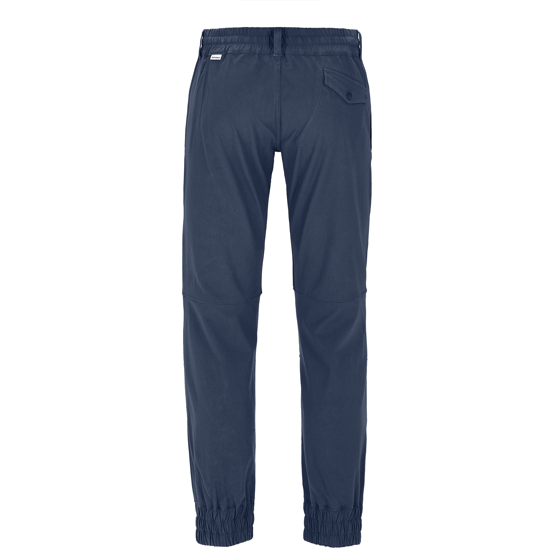 Sp Active sheltered Jogger for